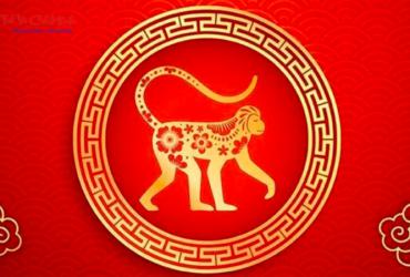 Hướng bàn làm việc cho người sinh năm 2028 (Mậu Thân - Đại Trạch Thổ)