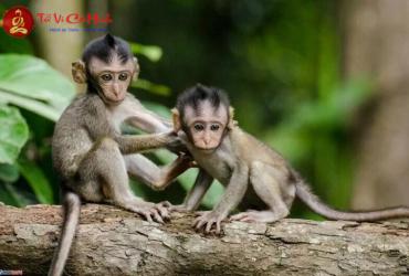 Hướng kê giường ngủ tốt nhất cho người sinh năm 2028