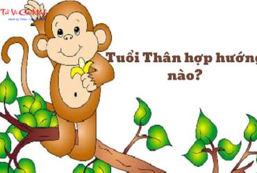 Sinh năm 2028 hợp hướng nào? Phân tích cung mệnh và hướng tốt xấu