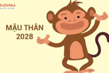 Sinh năm 2028 hợp màu gì? Bí quyết phong thủy cho người mệnh Đại Trạch Thổ