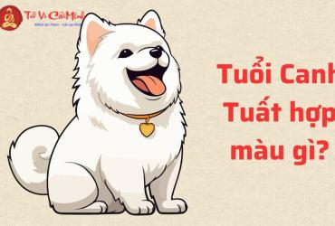 Sinh Năm 2030 Hợp Màu Gì? Chọn Màu Phong Thủy Mang Lại May Mắn