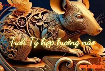 Sinh năm 2032 hợp hướng nào? Hướng dẫn phong thủy toàn diện
