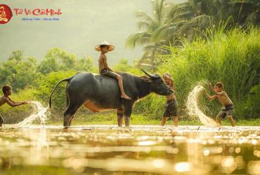 Sinh năm 2033 hợp số mấy? Sim phong thủy cho người sinh năm 2033