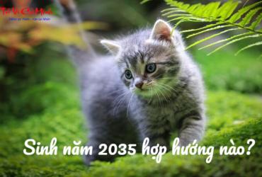 Sinh Năm 2035 Hợp Hướng Nào? Chọn Hướng Nhà Giúp Đón Tài Lộc
