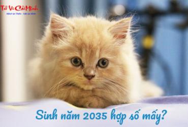 Sinh Năm 2035 Hợp Số Mấy? Chọn Sim Phong Thủy Để Hút Tài Lộc