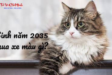 Sinh Năm 2035 Mua Xe Màu Gì? Chọn Màu Xe Hợp Phong Thủy Để Tăng Vận May