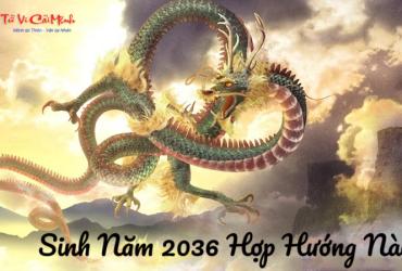 Sinh Năm 2036 Hợp Hướng Nào? Chọn Hướng Nhà Giúp Gia Đạo Bình An