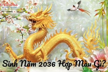 Sinh Năm 2036 Hợp Màu Gì? Chọn Màu Phong Thủy Hút Tài Lộc