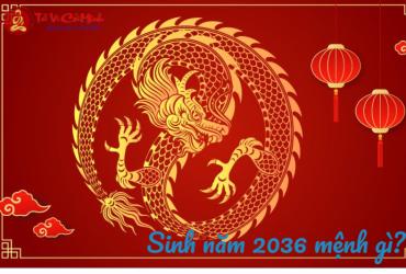 Tuổi Bính Thìn 2036 – Khám Phá Vận Mệnh Và Bí Quyết Mệnh Thổ