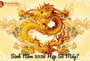 Sinh Năm 2036 Hợp Số Mấy? Cách Chọn Sim Phong Thủy Mang Lại May Mắn