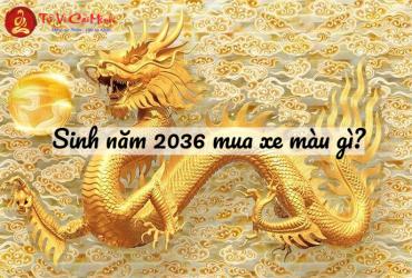 Sinh Năm 2036 Mua Xe Màu Gì? Chọn Màu Xe Hợp Mệnh Thổ Để Hút May Mắn