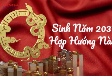 Sinh Năm 2037 Hợp Hướng Nào? Chọn Hướng Nhà Mang Lại May Mắn