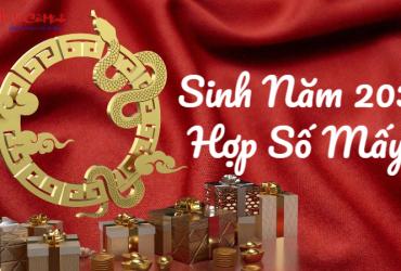 Sinh Năm 2037 Hợp Số Mấy? Chọn Sim Phong Thủy Để Hút Tài Lộc