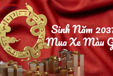 Sinh Năm 2037 Mua Xe Màu Gì? Chọn Màu Xe Hợp Mệnh Thổ Để Hút May Mắn