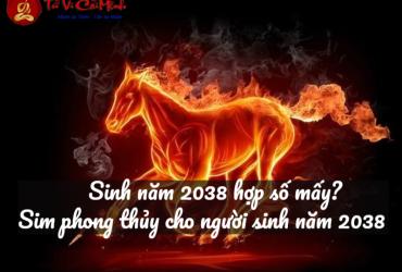 Sinh Năm 2038 Hợp Số Mấy? Cách Chọn Sim Phong Thủy Hợp Tuổi Mậu Ngọ