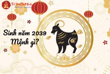 Giải Mã Vận Mệnh Tuổi Kỷ Mùi 2039 – Bí Quyết Mệnh Hỏa