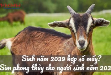 Sinh Năm 2039 Hợp Số Mấy? Chọn Sim Phong Thủy Để Hút May Mắn