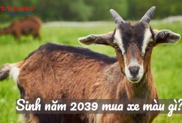Sinh Năm 2039 Mua Xe Màu Gì Để Hợp Phong Thủy, Tăng Tài Lộc?
