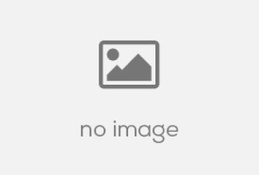 Sinh năm 1972 mua xe màu gì? Bí quyết chọn màu xe hợp phong thủy cho tuổi Nhâm Tý