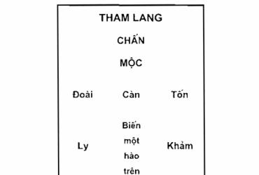 Đồ Hình Sinh Khí: Cấu Trúc – Ý Nghĩa – Ứng Dụng Thực Tế