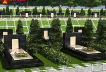 Động mộ là gì? Dấu hiệu chứng tỏ nhà bị động mộ