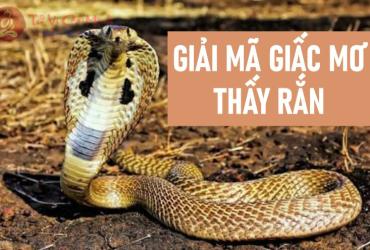 Nằm Mơ Thấy Rắn: Biểu Tượng, Điềm Báo & Giải Mã Con Số May Mắn