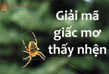 Nằm Mơ Thấy Nhện: Biểu Tượng, Điềm Báo & Giải Mã Con Số May Mắn