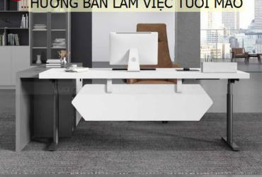 Hướng bàn làm việc cho người sinh năm 1951: Phong thủy tối ưu cho tuổi Tân Mão