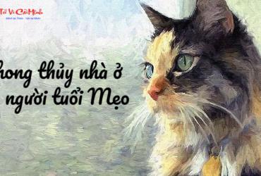 Phong Thủy Nhà Ở Cho Người Tuổi Mẹo: Bí Quyết Tăng Tài Lộc Và May