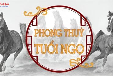 Phong Thủy Nhà Ở Cho Người Tuổi Ngọ: Bí Quyết Tăng Năng Lượng Và Thành Công