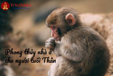 Phong Thủy Nhà Ở Cho Người Tuổi Thân: Nguyên Tắc Cơ Bản Và Bí Quyết Áp Dụng