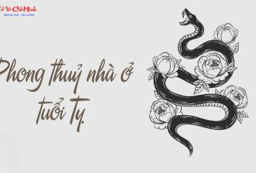 Phong Thủy Nhà Ở Cho Người Tuổi Tỵ: Bí Quyết Tăng Trí Tuệ Và Tài Lộc