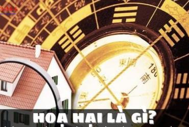 Họa Hại Trong Phong Thủy: Hướng Dẫn Nhận Biết Và Cách Hóa Giải