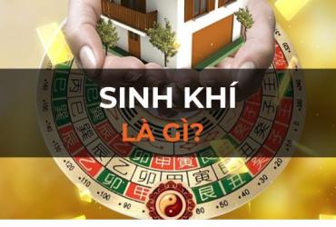 Sinh Khí Trong Phong Thủy: Hướng Dẫn Toàn Diện Về Ý Nghĩa Và Ứng Dụng