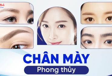 Các Kiểu Chân Mày Phong Thủy: Biểu Tượng Vận Mệnh Trên Gương Mặt
