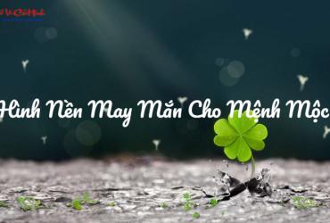Hình Nền May Mắn Cho Mệnh Mộc: Kích Hoạt Sinh Khí Và Vận May