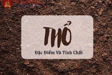 Ngũ Hành Thổ Là Gì? Bí Quyết Phong Thủy Giúp Cuộc Sống Vững Chắc