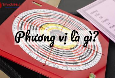 Phương Vị Là Gì? Hướng Dẫn Toàn Diện Về Hướng Trong Phong Thủy