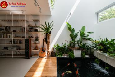 Phong Thủy Trong Kiến Trúc Bền Vững Và Nhà Ở Xanh