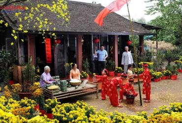 Cây Phong Thủy Chưng Tết: Hướng Dẫn Toàn Diện Mang Lại Tài Lộc Và May Mắn