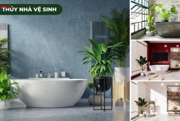 Lỗi Phong Thủy Nhà Vệ Sinh - Cách Hóa Giải Để Tránh Vận Xui Tài Lộc