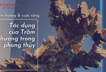 Trầm Hương Trong Phong Thủy - Ý Nghĩa Và Cách Sử Dụng Hiệu Quả