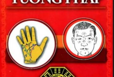 Khám Phá Bí Mật Nhân Tướng Học Trong "Tổng Luận Về Tướng Pháp" – Sách Gối Đầu Giường Của Người Am Hiểu!
