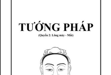 Tiết Lộ Bí Ẩn Tướng Mạo: Cuốn Sách “Tướng Pháp” Giúp Bạn Hiểu Rõ Vận Mệnh