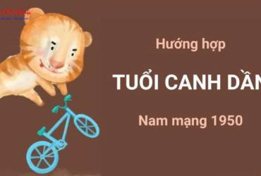 Sinh năm 1950 hợp hướng nào? Phân tích hướng nhà lý tưởng cho tuổi Canh Dần