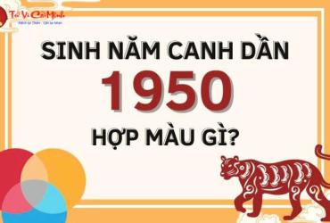 Sinh năm 1950 hợp màu gì? Phân tích chi tiết theo phong thủy mệnh Tùng Bách Mộc