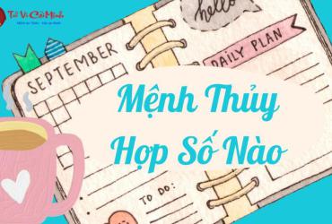 Khám Phá Bí Mật: Sinh Năm 1953 Hợp Số Mấy? Lựa Chọn Sim Phong Thủy Đón Tài Lộc