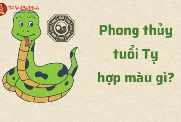 Sinh năm 1953 mua xe màu gì? Chọn màu xe hợp phong thủy mang lại may mắn và bình an
