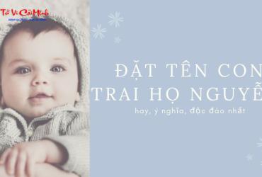 Tên Con Trai Họ Nguyễn - Hướng Dẫn Chọn Tên Đẹp Ý Nghĩa