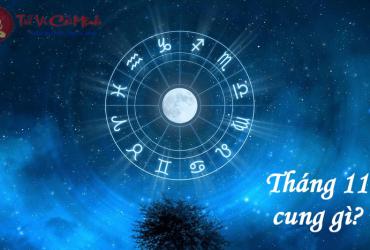 Tháng 11 Cung Gì? Thiên Yết Hay Nhân Mã? Tìm Hiểu Ngay